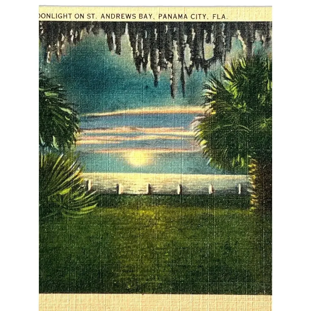 Vtg Litho Postcard 1940s Linen Andrews Bay Panama City FL Asheville PC Co NC SEE